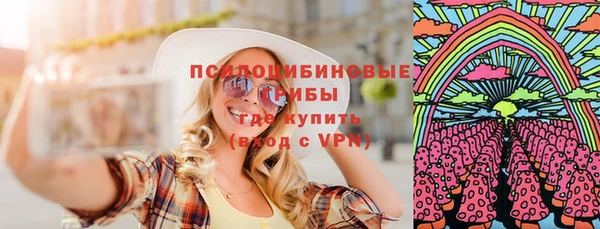 ECSTASY Алзамай